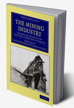 The Mining Industry