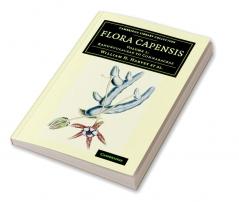 Flora Capensis