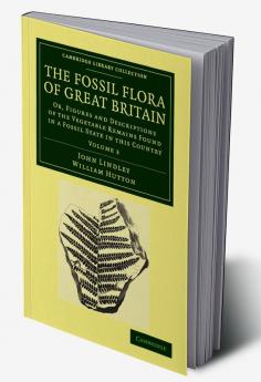 The Fossil Flora of Great Britain