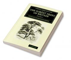 The Forest Trees of Britain