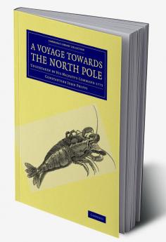 A Voyage Towards the North Pole