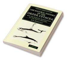 The Natural History of the Order Cetacea