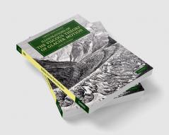 Illustrations of the Viscous Theory of Glacier Motion