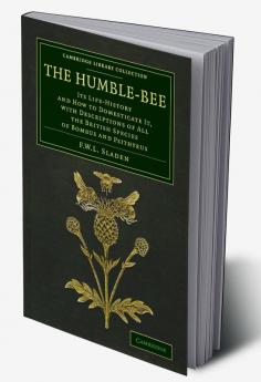 The Humble-Bee