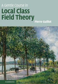 A Gentle Course in Local Class Field Theory