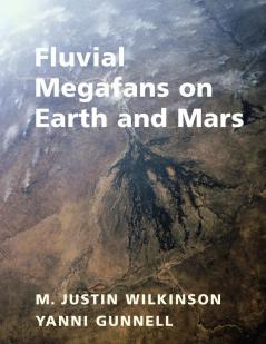 Fluvial Megafans on Earth and Mars