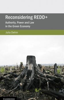 Reconsidering REDD+