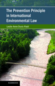 The Prevention Principle in International Environmental Law