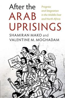 After the Arab Uprisings