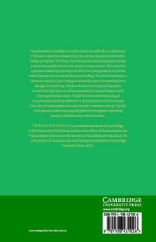 The Conceptual Representation of Consciousness