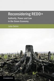 Reconsidering REDD+