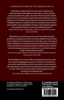 Contesting Slave Masculinity in the American South