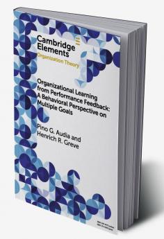 Organizational Learning from Performance Feedback