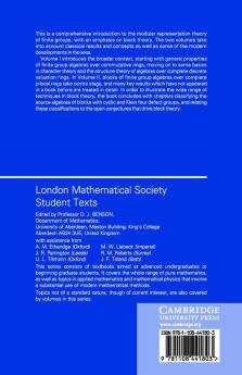 The Block Theory of Finite Group Algebras