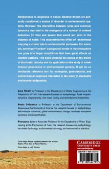 Noise-Induced Phenomena in the Environmental Sciences