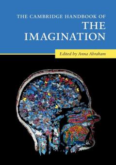 The Cambridge Handbook of the Imagination (Cambridge Handbooks in Psychology)