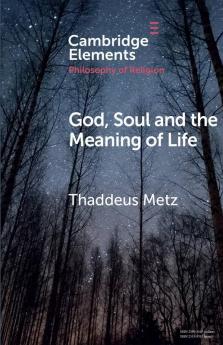 God Soul and the Meaning of Life