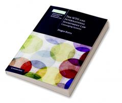 The WTO and International Investment Law