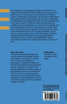 The Nature and Challenges of Indigenous Psychologies