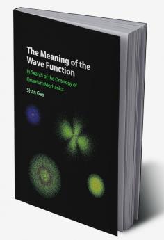 The Meaning of the Wave Function