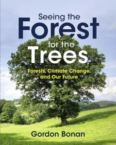 Seeing the Forest for the Trees