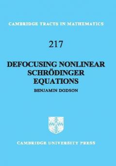 Defocusing Nonlinear Schrödinger Equations