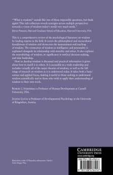 The Cambridge Handbook of Wisdom