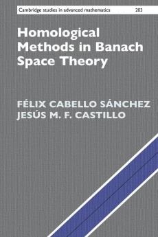 Homological Methods in Banach Space Theory