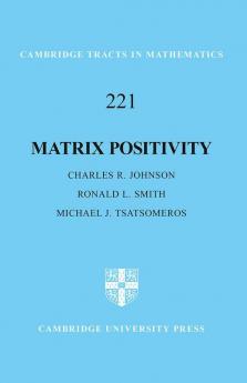 Matrix Positivity