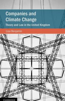 Companies and Climate Change
