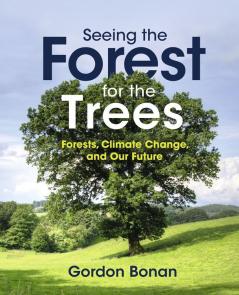 Seeing the Forest for the Trees