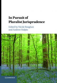 In Pursuit of Pluralist Jurisprudence