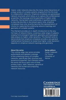 Higher-Order Networks