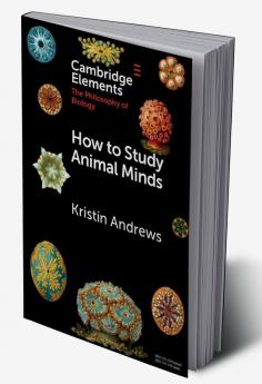 How to Study Animal Minds