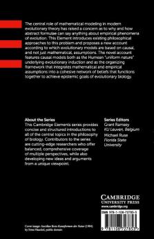 The Role of Mathematics in Evolutionary Theory