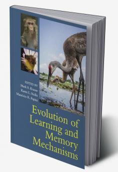 Evolution of Learning and Memory Mechanisms