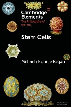 Stem Cells