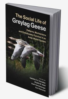 The Social Life of Greylag Geese