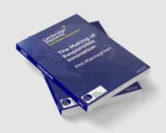 The Making of Responsible Innovation