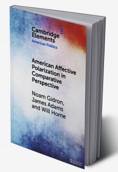 American Affective Polarization in Comparative Perspective