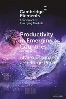 Productivity in Emerging Countries