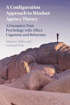 A Configuration Approach to Mindset Agency Theory