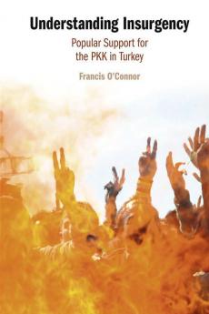 Understanding Insurgency