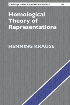 Homological Theory of Representations