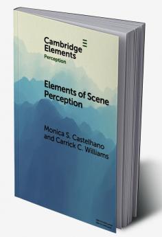Elements of Scene Perception