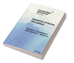 Elements of Scene Perception