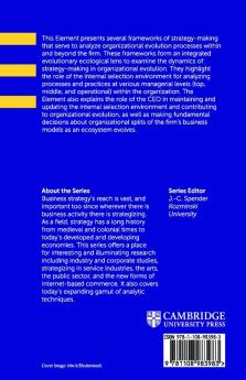 Strategy-Making and Organizational Evolution