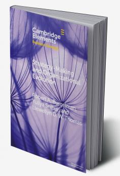 Strategy-Making and Organizational Evolution