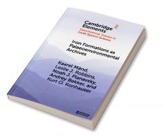 Iron Formations as Palaeoenvironmental Archives