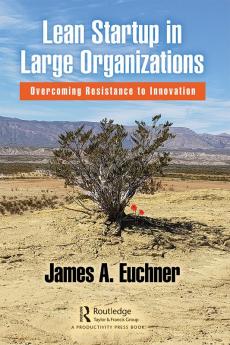 Lean Startup in Large Organizations